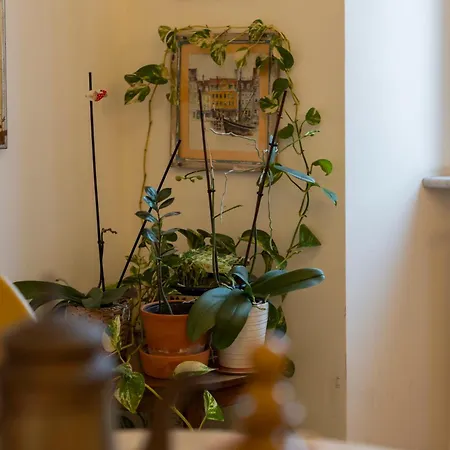 Scala Santa Cozy Flat Apartmán